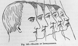 Highbrow/lowbrow
